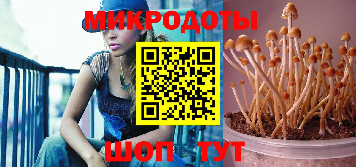 Галлюциногенные грибы Psilocybe  Вход с VPN  Асино 